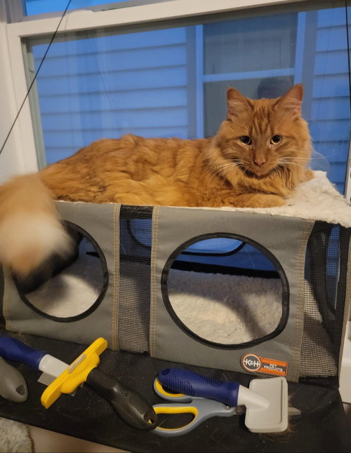 Owen