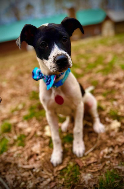 Marley Mae