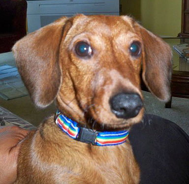 Otis