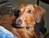 Otis