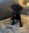 Bailey