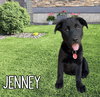 Jenney