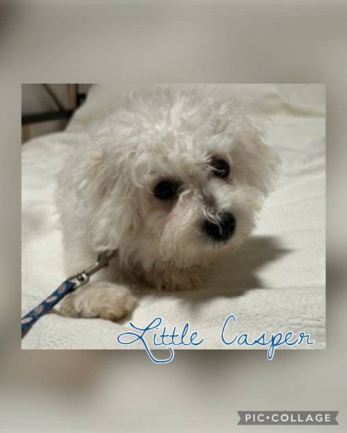 Little Casper