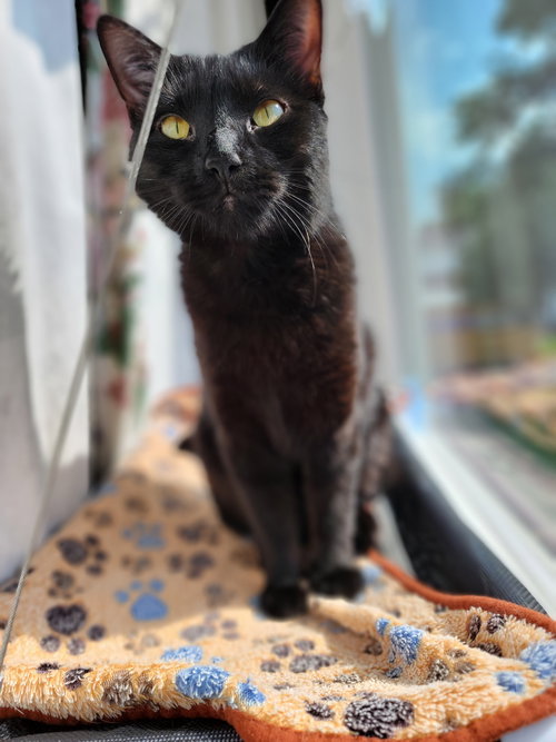 Luna