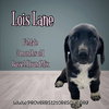 Lois Lane
