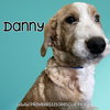 Danny