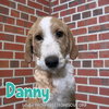 Danny
