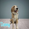Danny
