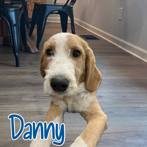 Danny