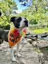 Maisy