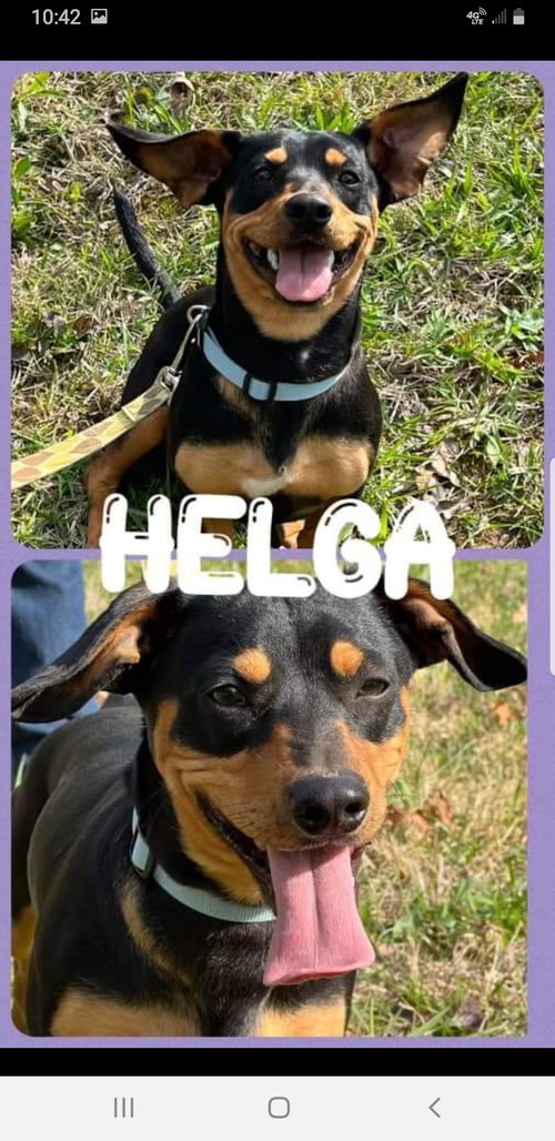 Helga