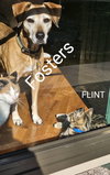 Flint