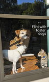 Flint