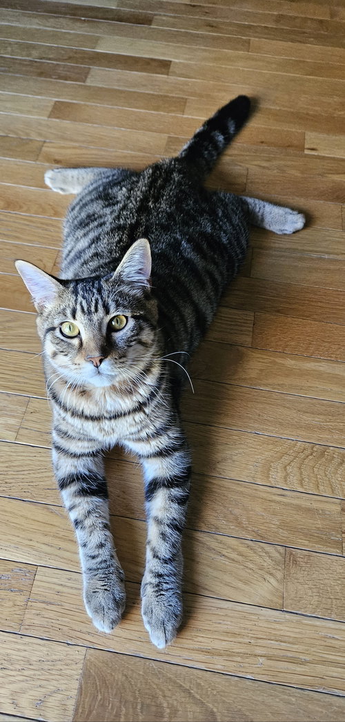 Percy