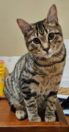 Percy