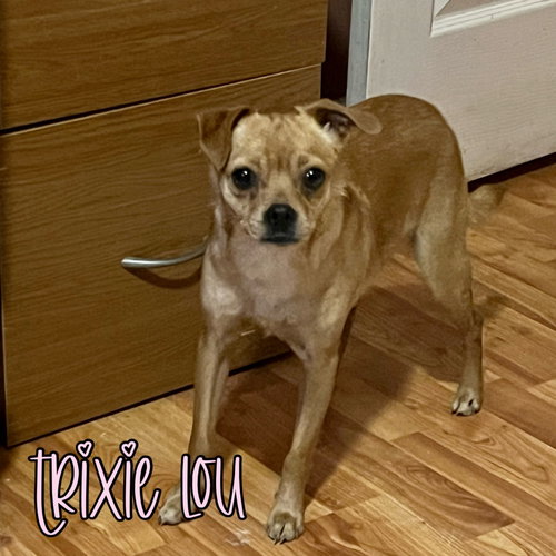 Trixie Lou