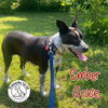 Ember Grace