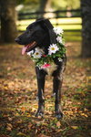 Tilly Belle