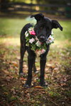 Tilly Belle