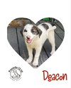 Deacon Kade