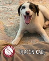Deacon Kade