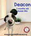 Deacon Kade