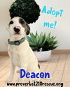 Deacon Kade