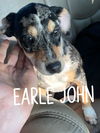 Earle John