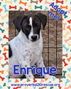 Enrique