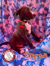 Emerson
