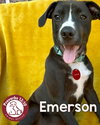 Emerson