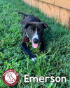Emerson