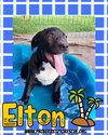 Elton