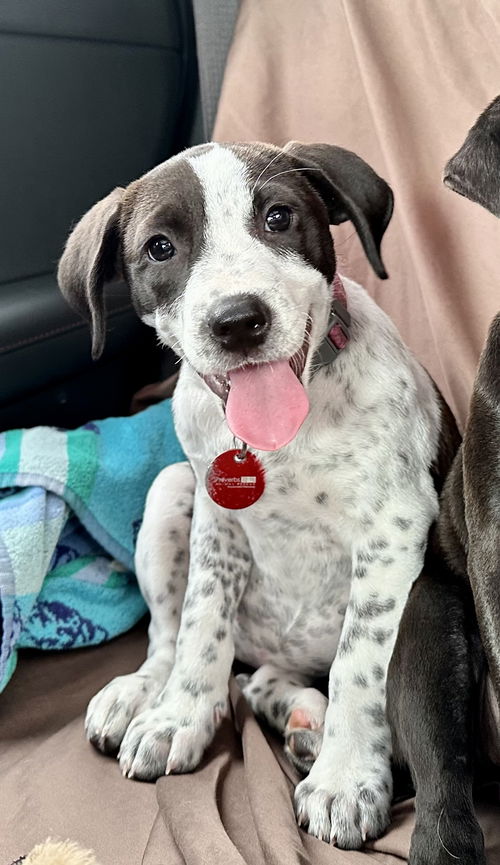 Ellie