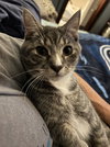 Winston