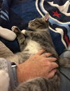 Winston