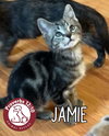 Jamie