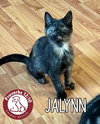 Jalynn