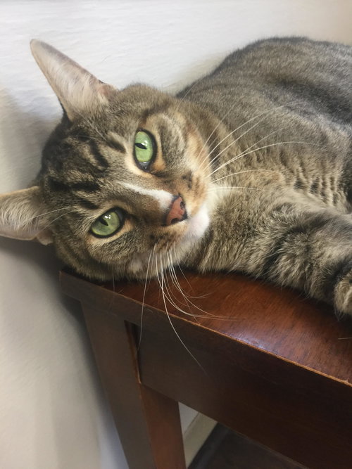 Max