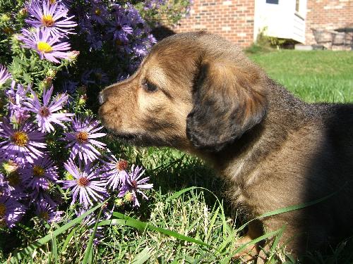 Maybelle H
