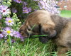 Maybelle H