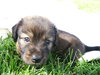 Maybelle H