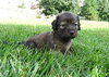 Maybelle H