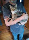 adoptable Cat in nashville, TN named Liam