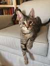 Charlie