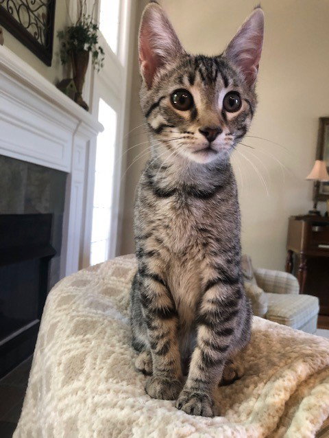 Charlie