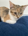 Maggie