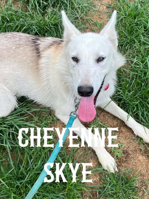 Cheyenne Skye