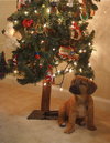 Wilbur H