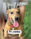 Mary Jane